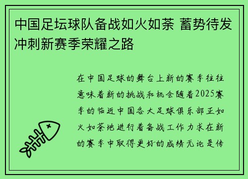 中国足坛球队备战如火如荼 蓄势待发冲刺新赛季荣耀之路